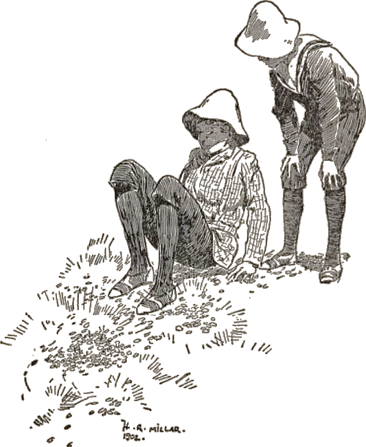 Illustration