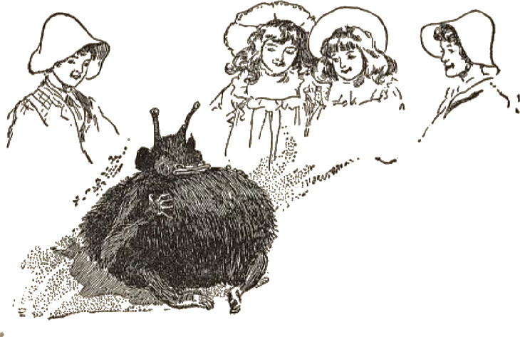 Illustration