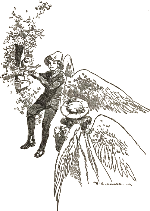 Illustration