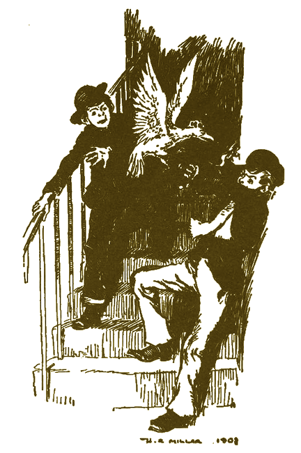 Illustration