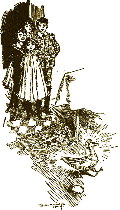 Illustration