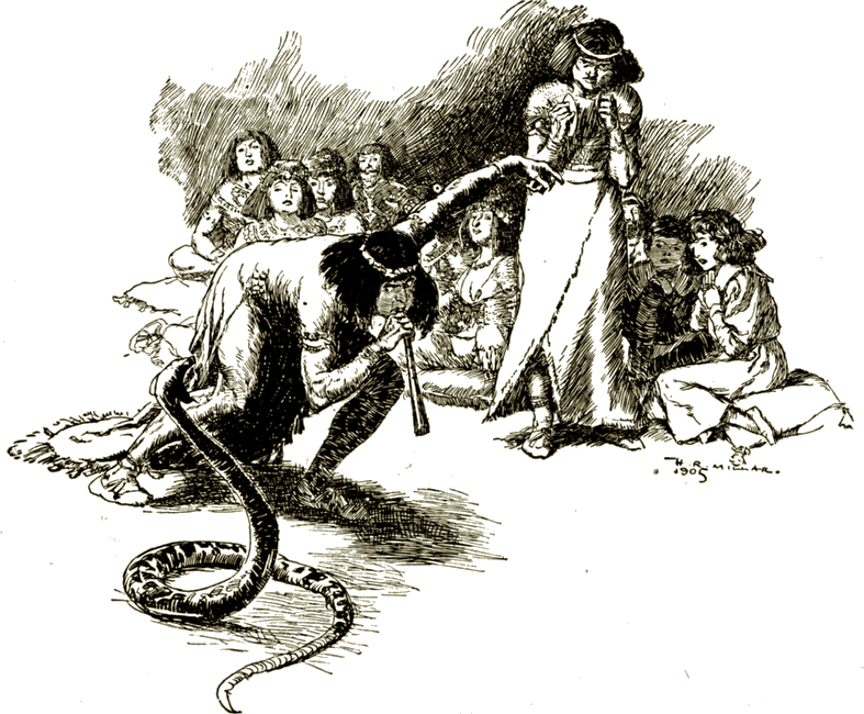 Illustration