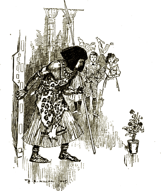 Illustration