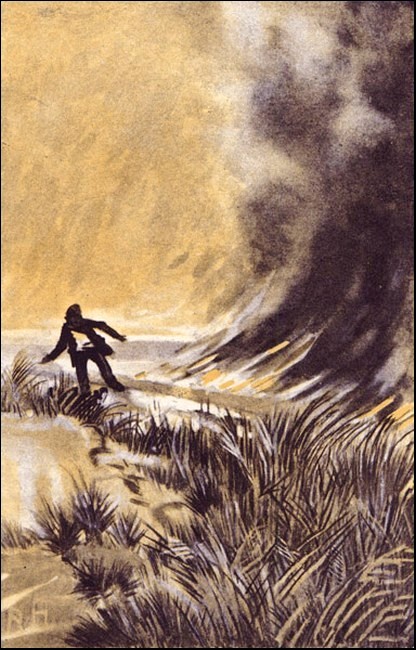 Illustration Illustration