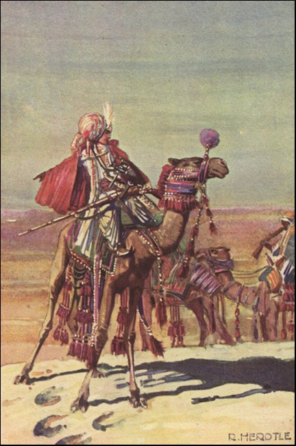 Illustration Illustration