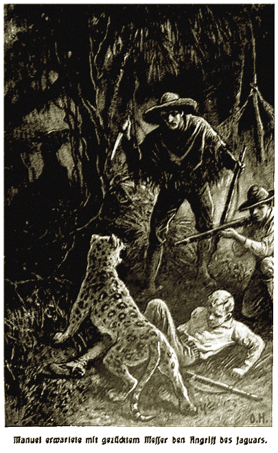 Illustration Illustration