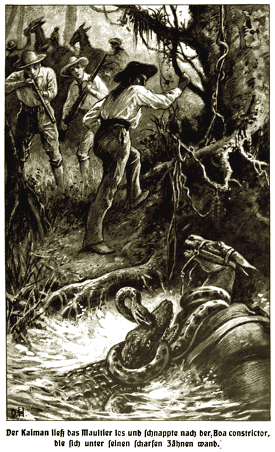 Illustration Illustration