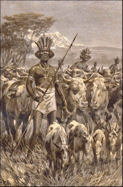 Illustration Illustration