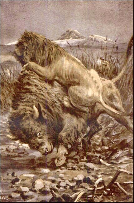 Illustration Illustration