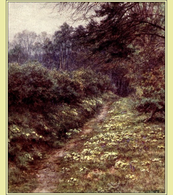 Illustration Illustration