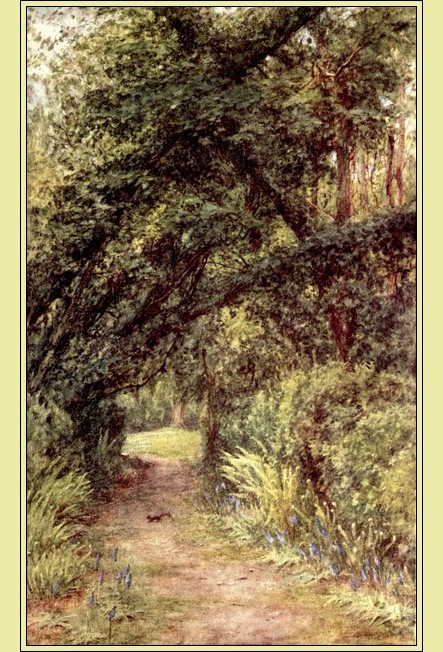 Illustration Illustration