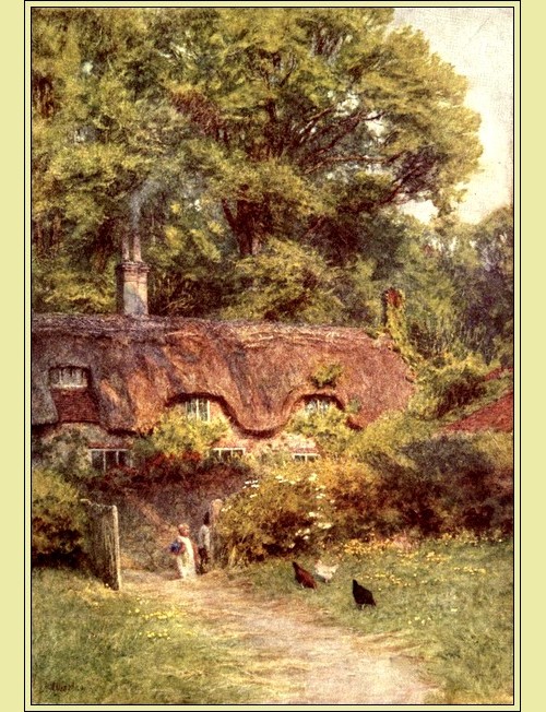 Illustration Illustration