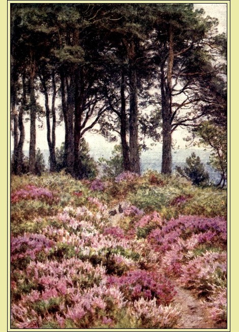 Illustration Illustration