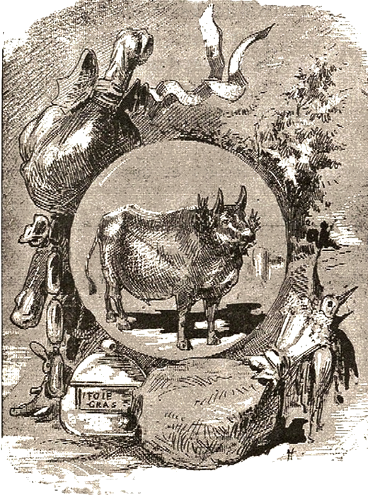 Illustration