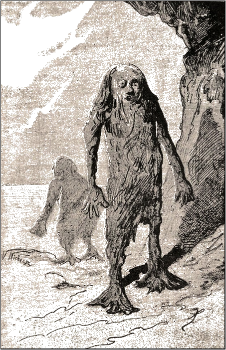 Illustration