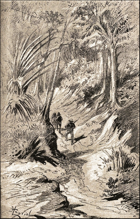 Illustration