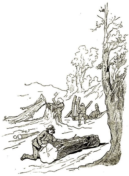 Illustration
