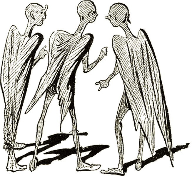 Illustration