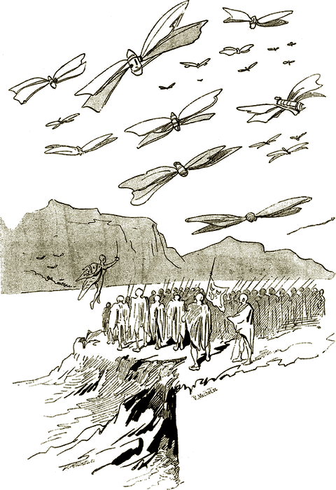 Illustration