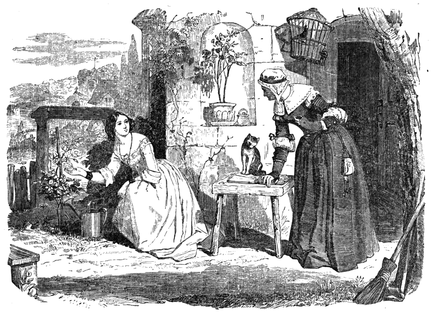 Illustration