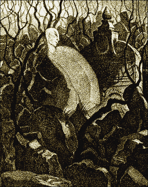 Illustration Illustration