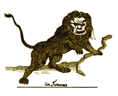 Illustration Illustration