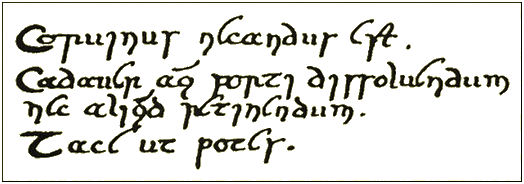 Scrawled Message Illustration