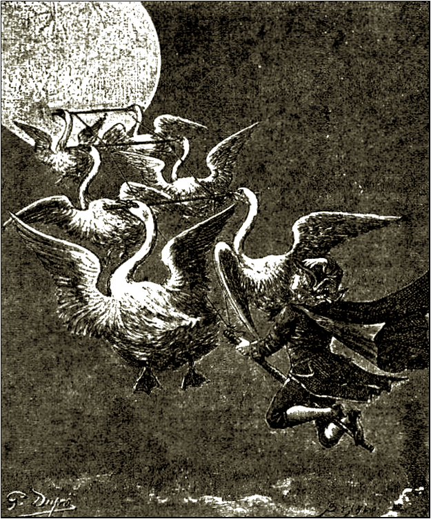 Illustration