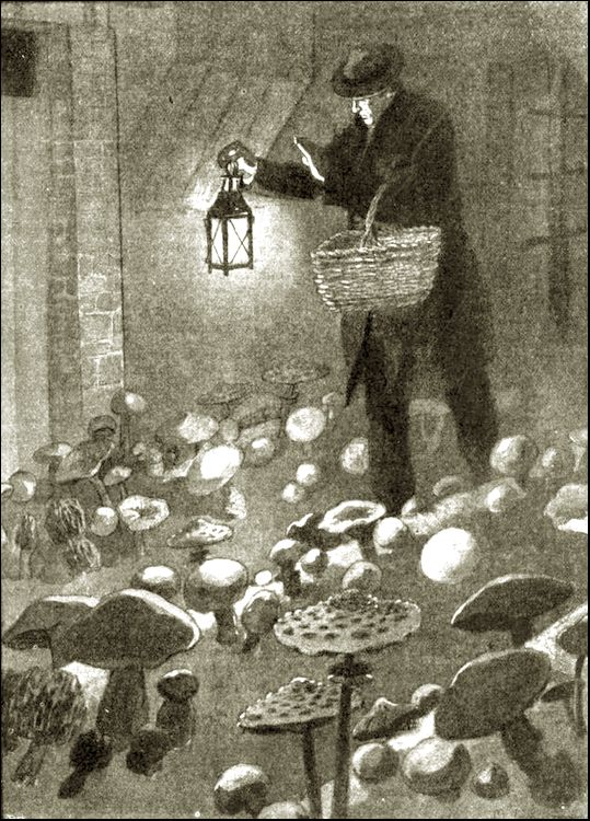 Illustration