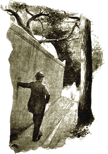 Illustration Illustration