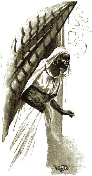 Illustration Illustration