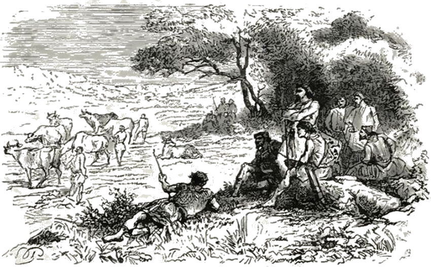 Illustration