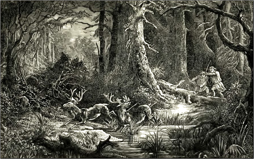 Illustration