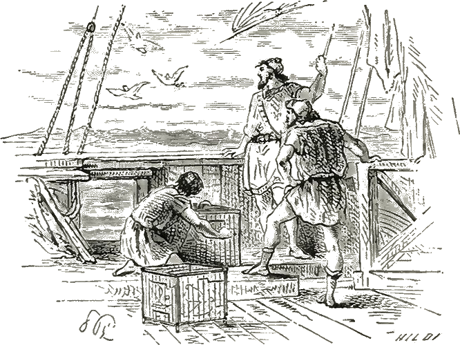 Illustration