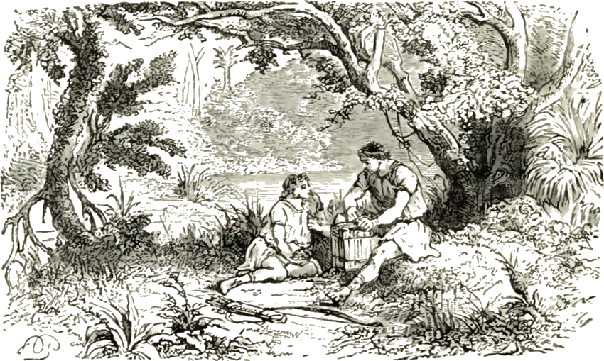 Illustration