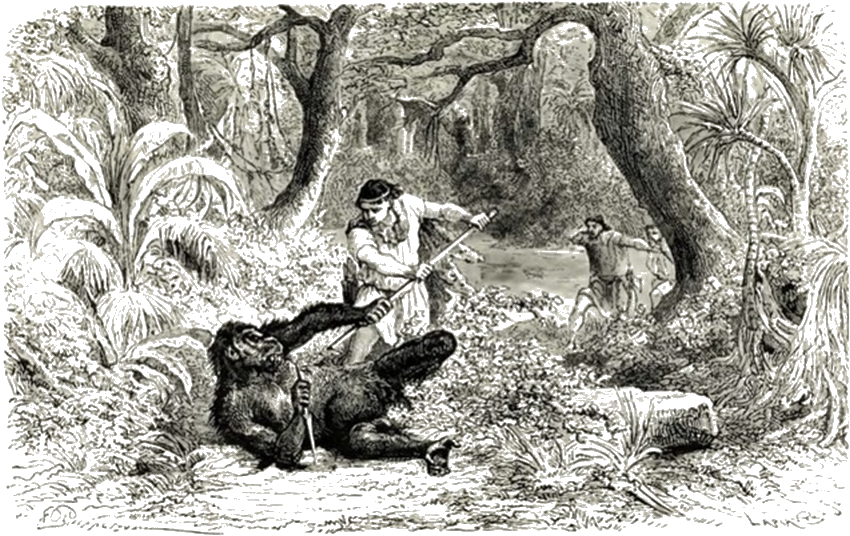 Illustration