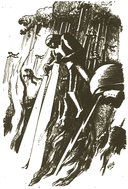 Illustration