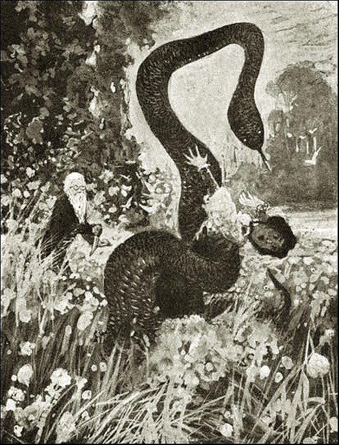 Illustration Illustration