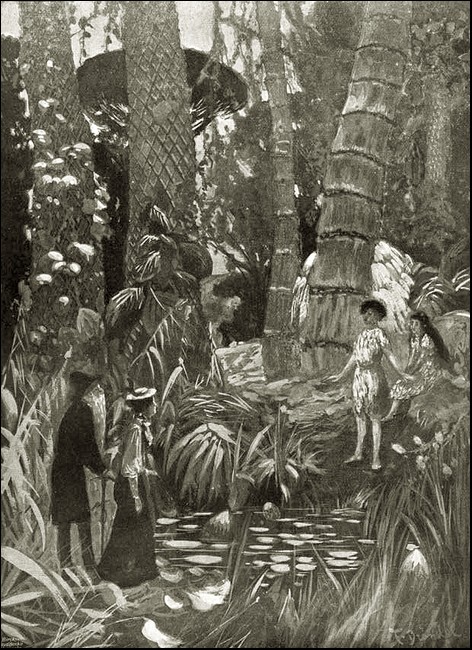 Illustration Illustration