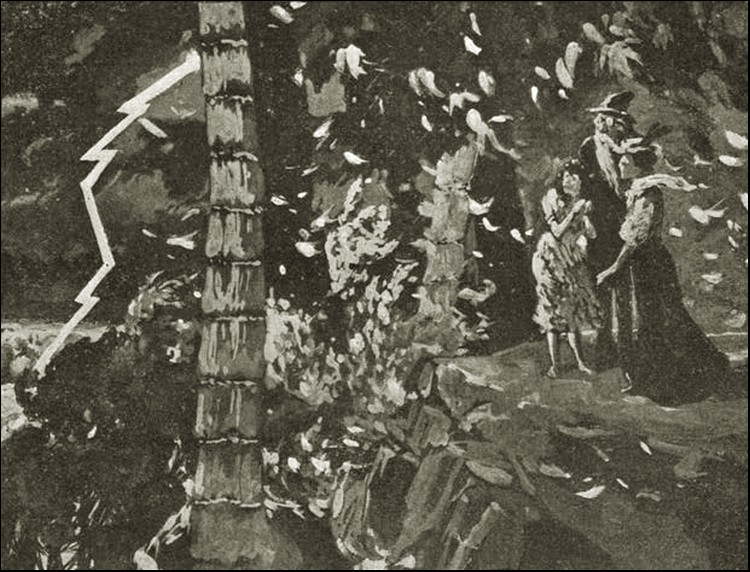 Illustration Illustration