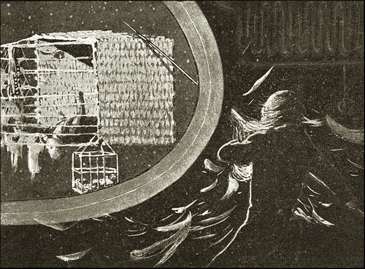 Illustration Illustration