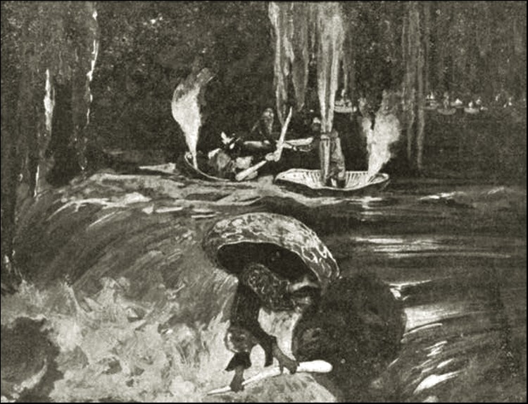 Illustration Illustration