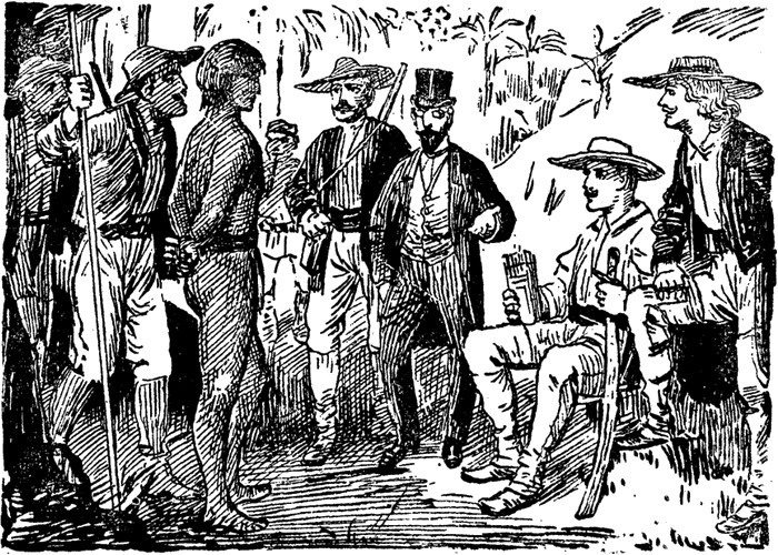 Illustration