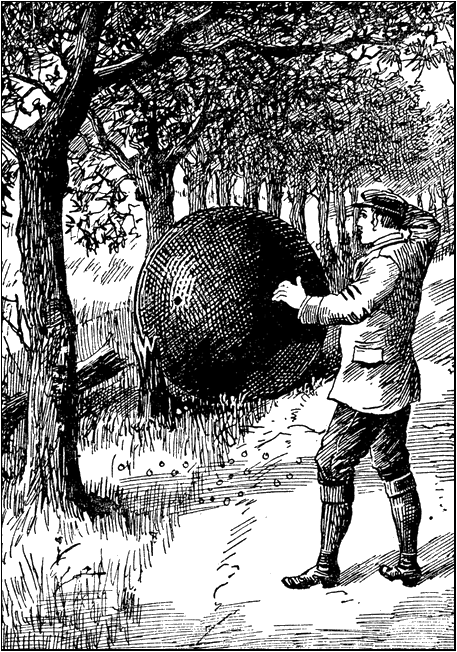 Illustration