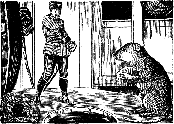 Illustration
