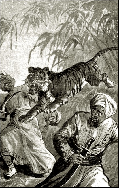 Illustration