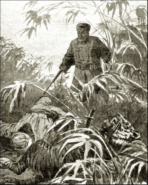 Illustration