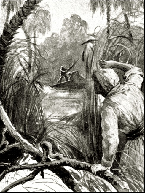 Illustration