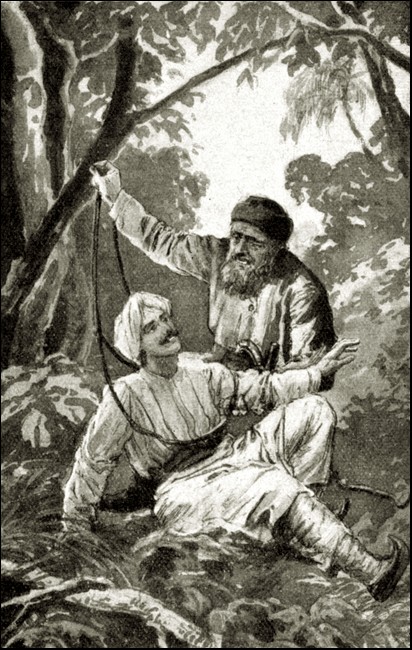 Illustration