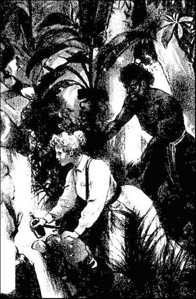 Illustration